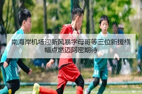 南海岸机场迎新风暴字母哥等三位新援横幅点燃迈阿密期待