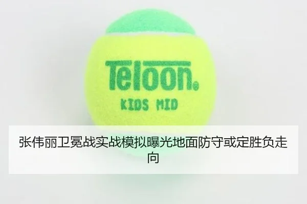 张伟丽卫冕战实战模拟曝光地面防守或定胜负走向